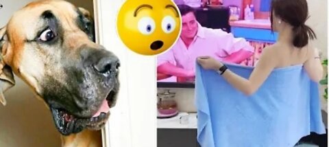 Try Not To Laugh 😂 Video Of Strange Of Dogs And Cats