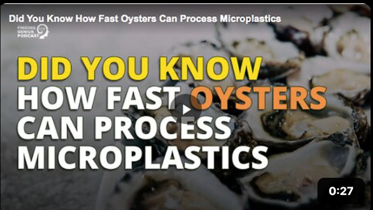 How fast oysters can process microplastics