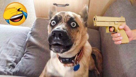 New Funny Videos 2023 😍 Cutest Cats and Dogs 🐱🐶