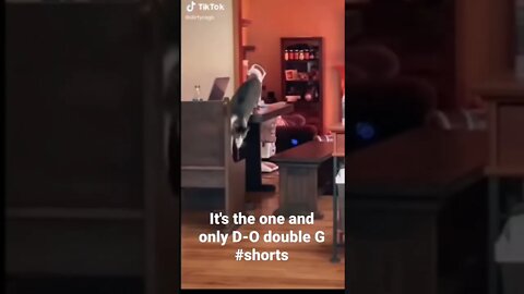 It's the one and only D-O double G #shorts