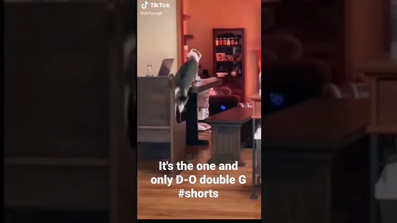 It's the one and only D-O double G #shorts