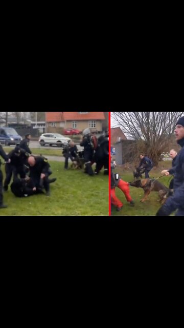 Danish Police Violently Attack anti-Israel Protesters with K-9 Dogs