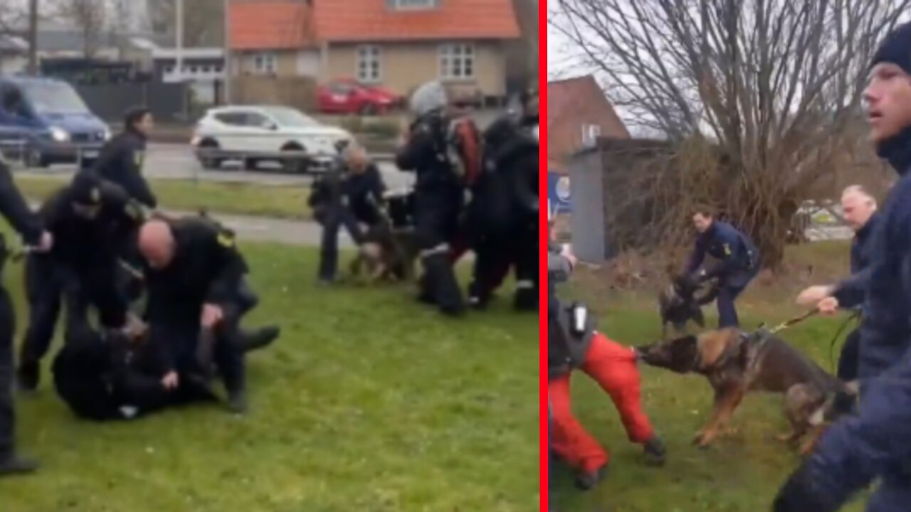 Danish Police Violently Attack anti-Israel Protesters with K-9 Dogs