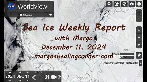 Sea Ice Weekly Report with Margo (Dec. 11, 2024)