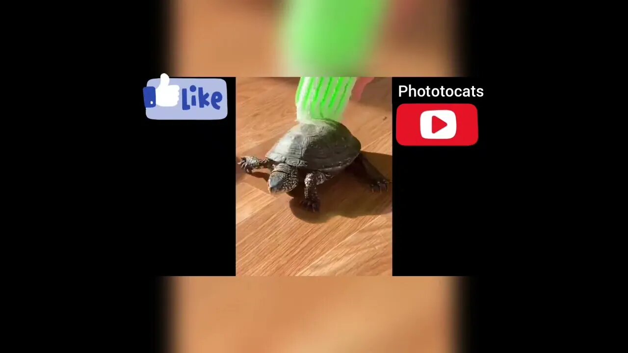 how..