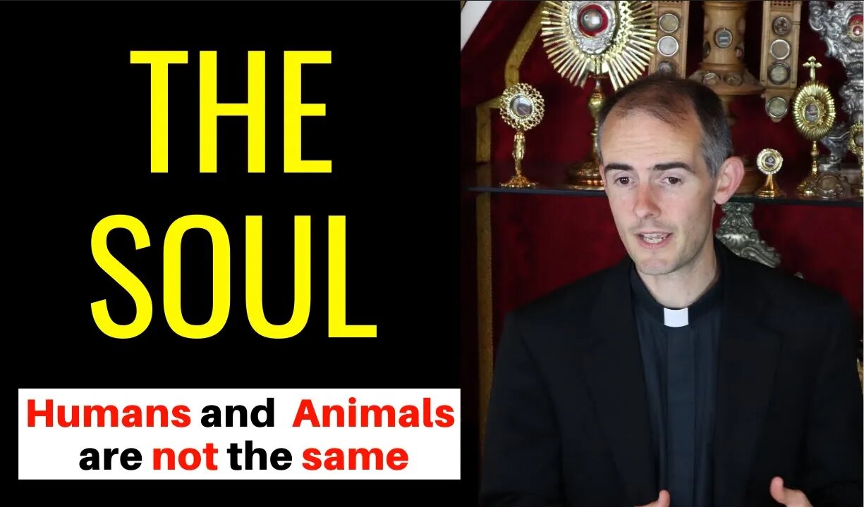 Do Animals have Souls?- Why Humans and Animals are Different
