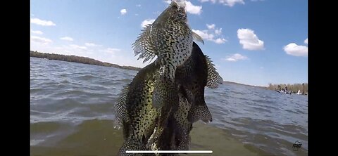 CRAPPIE -VS- HOT GREASE !!!