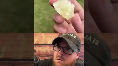 Here’s Your Dose Of REALarious…🤣🤣🤣 with @Gum of Gods