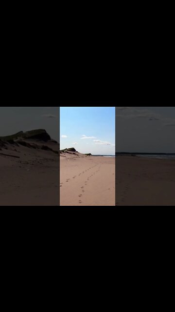 Empty beach got the best spot