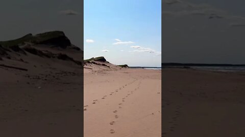 Empty beach got the best spot