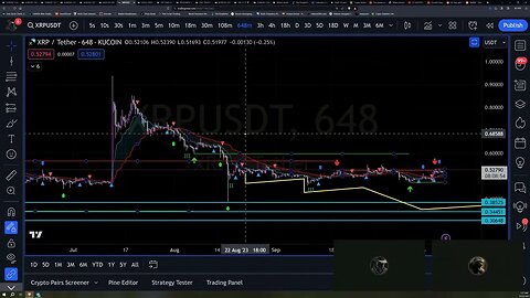 BTC Bull Market?