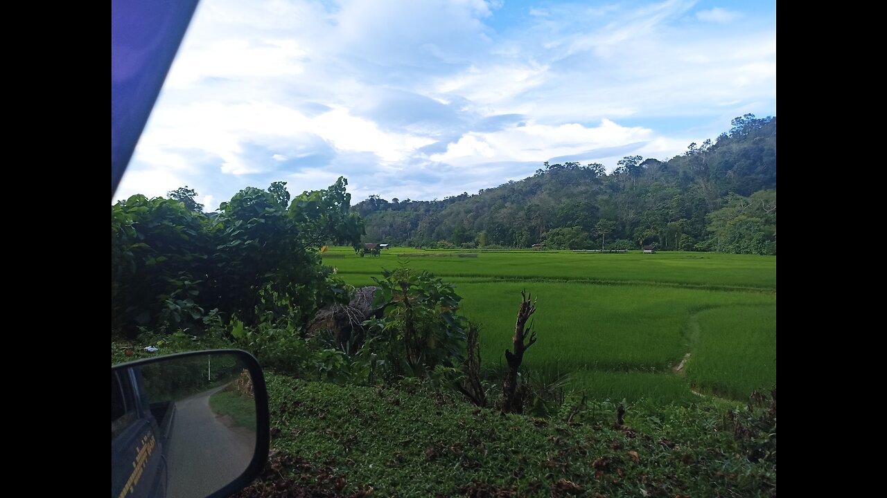 Travel in ricefield