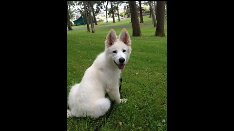 Sarah Beatlejuice Ghost 🐾 April 2023