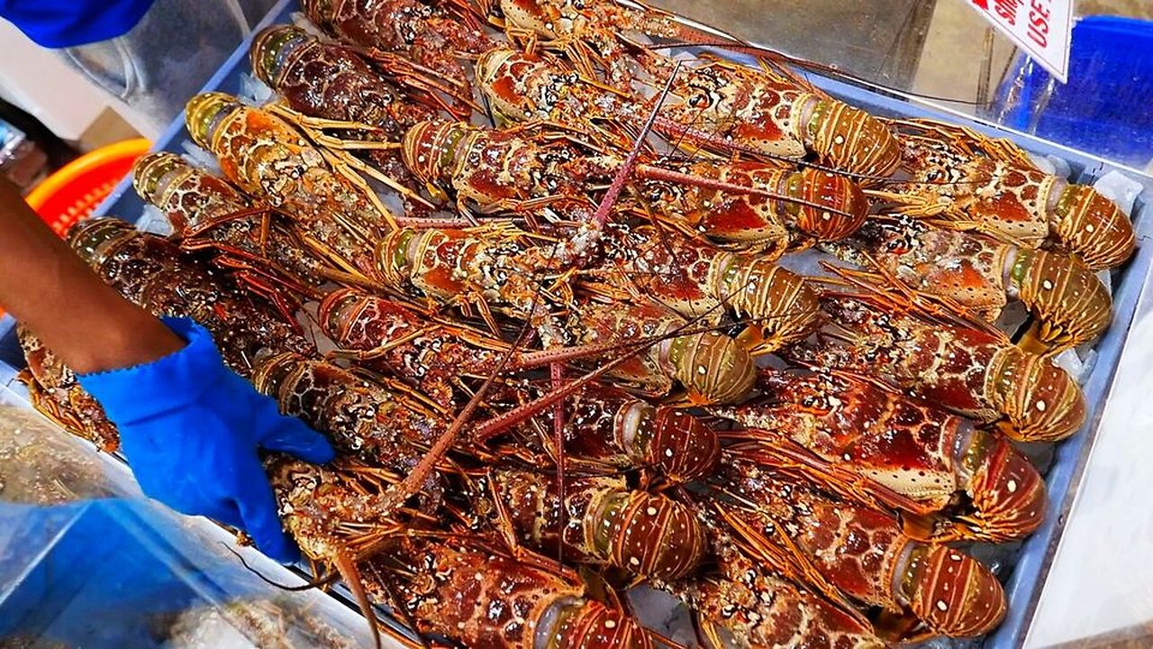 American Food - FRESH LOBSTERS and STONE CRAB CLAWS Seafood