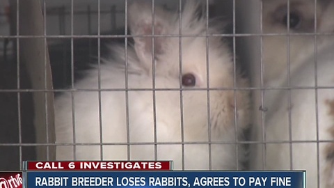 CALL 6: Rabbit breeder agrees to fines, surrendering animals