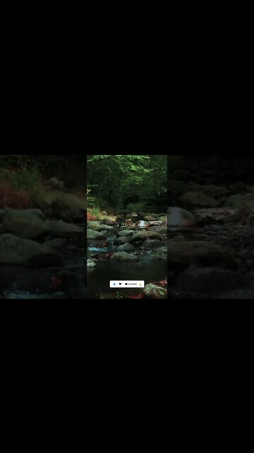 1 Minute Walk By The Stream Binaural Beats For Deep Relaxation & Meditation