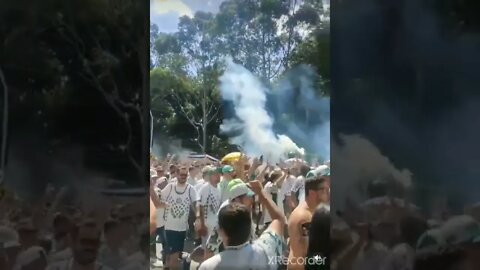 Torcida do Palmeiras mostrando sua Força No Allianz Parque