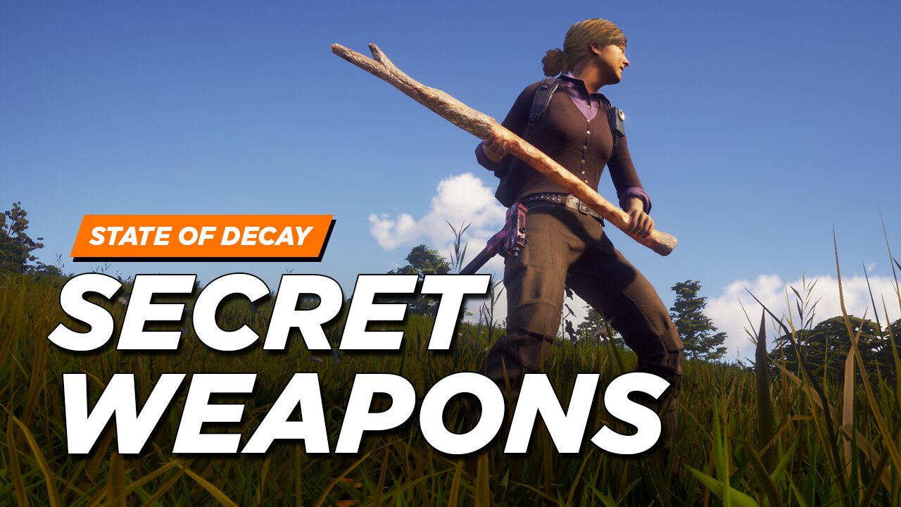 State of Decay 2 - Secret Weapons