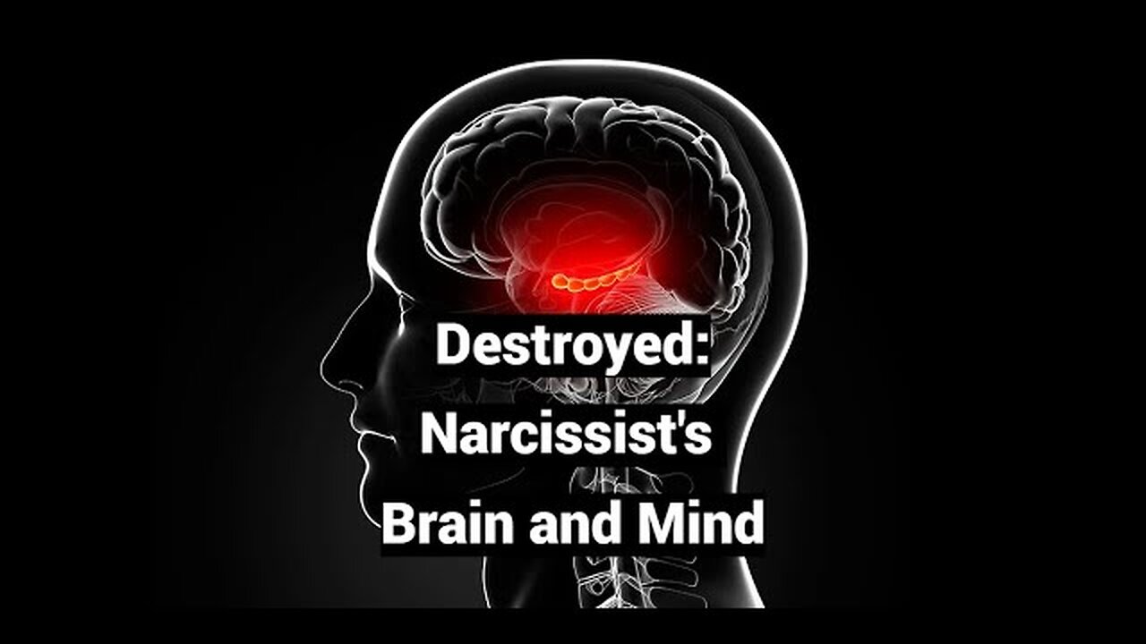 Destroyed: Narcissist's Brain and Mind (Infant Amnesia, Psychotic Grandiosity) (Re-Upload)