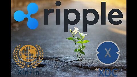 Ripple, XDC & XRPayNet!