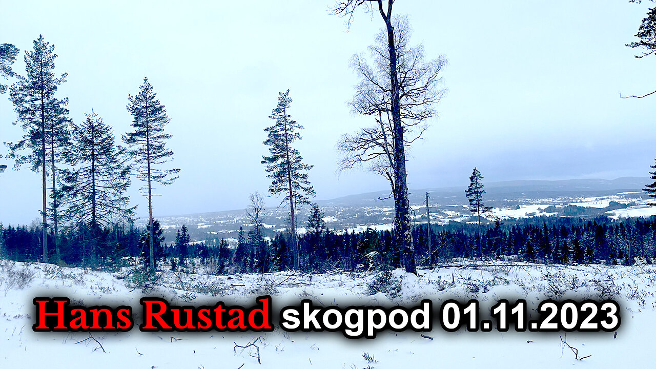 Skogpod 1. november 2023