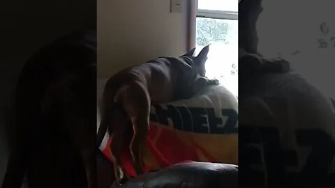 what?