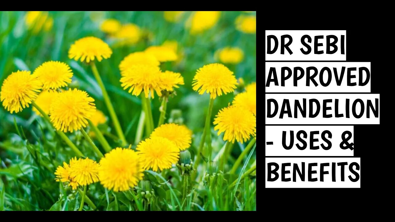 DR SEBI APPROVED HERB DANDELION - #CLEANSING #NUTRITIVE#BLOODCLEANSING