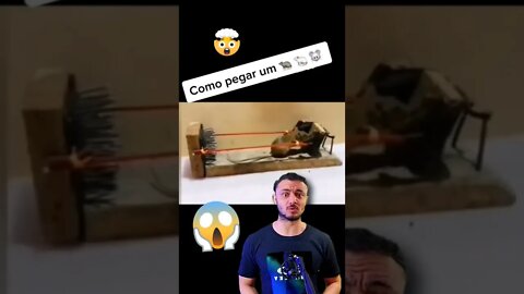 Como pegar um rato 🐀