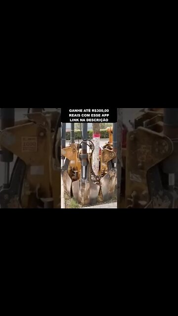 A máquina que pode salvar as florestas