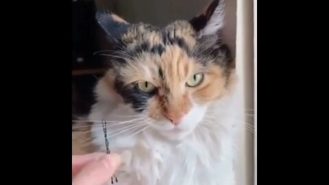 #SHORT #SUBSCRIBE #PLEASE