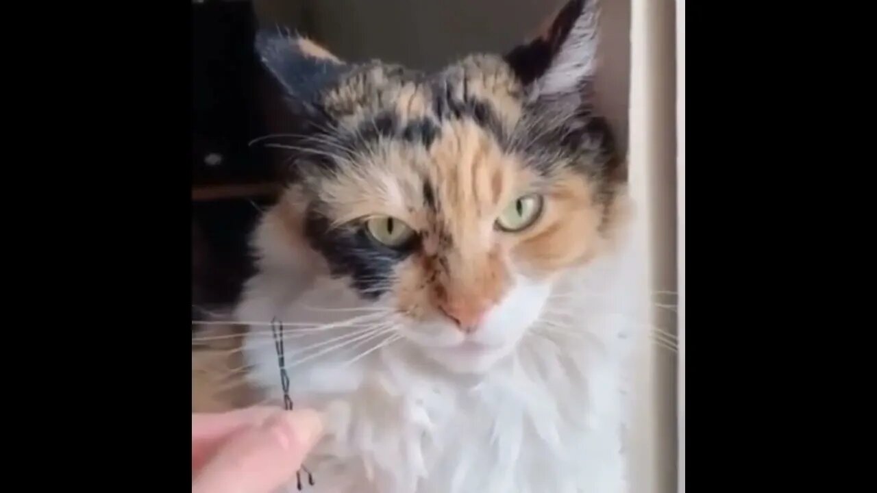 #SHORT #SUBSCRIBE #PLEASE