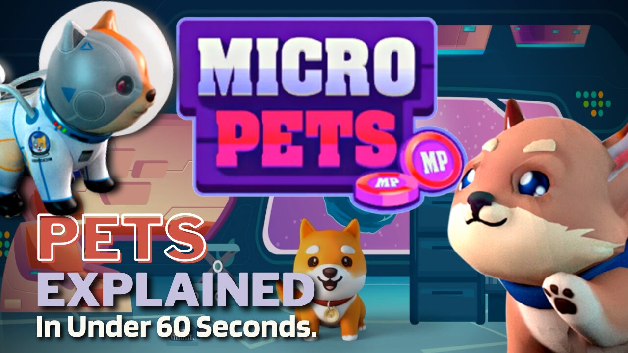 What is MicroPets (PETS)? | MicroPets Token Explained in Under 60 Seconds