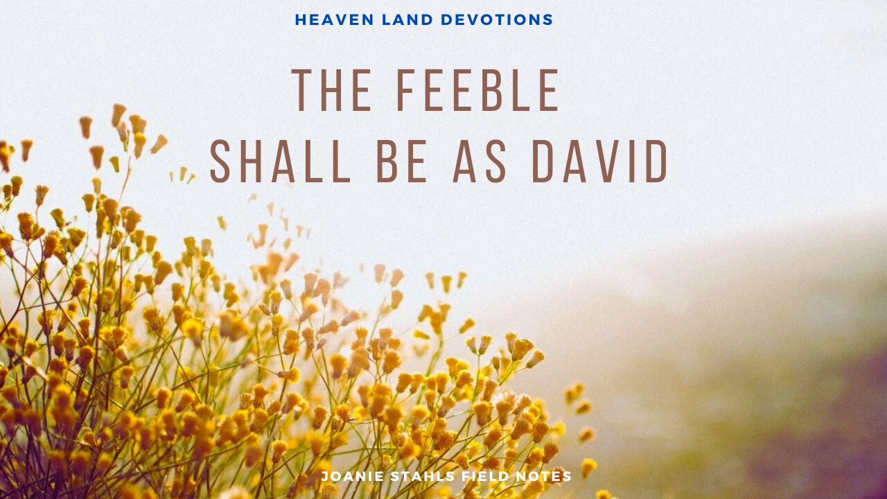 Heaven Land Devotion - The Feeble Shall Be As David