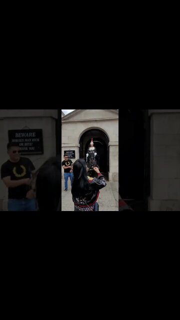horse scares tourist #horseguardsparade