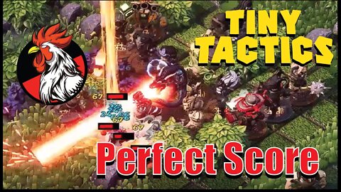 Getting a Perfect score (Tiny Tactics) Level 4A - Coopalah Plays