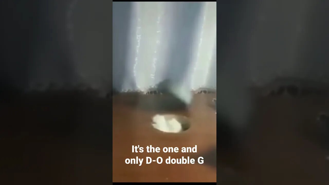 MEME is the one and only D-O double G #shorts