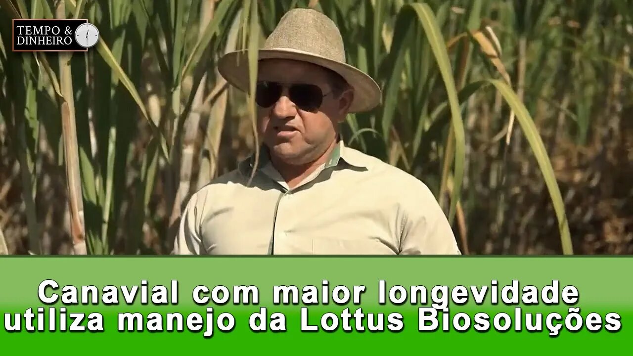 Canavial com maior longevidade utiliza manejo da Lottus Biosoluções