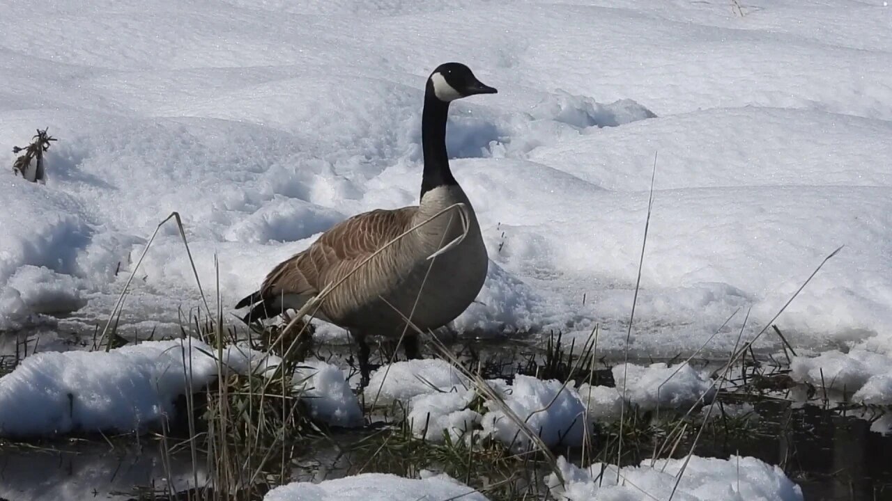 Climate Devastation Revealed