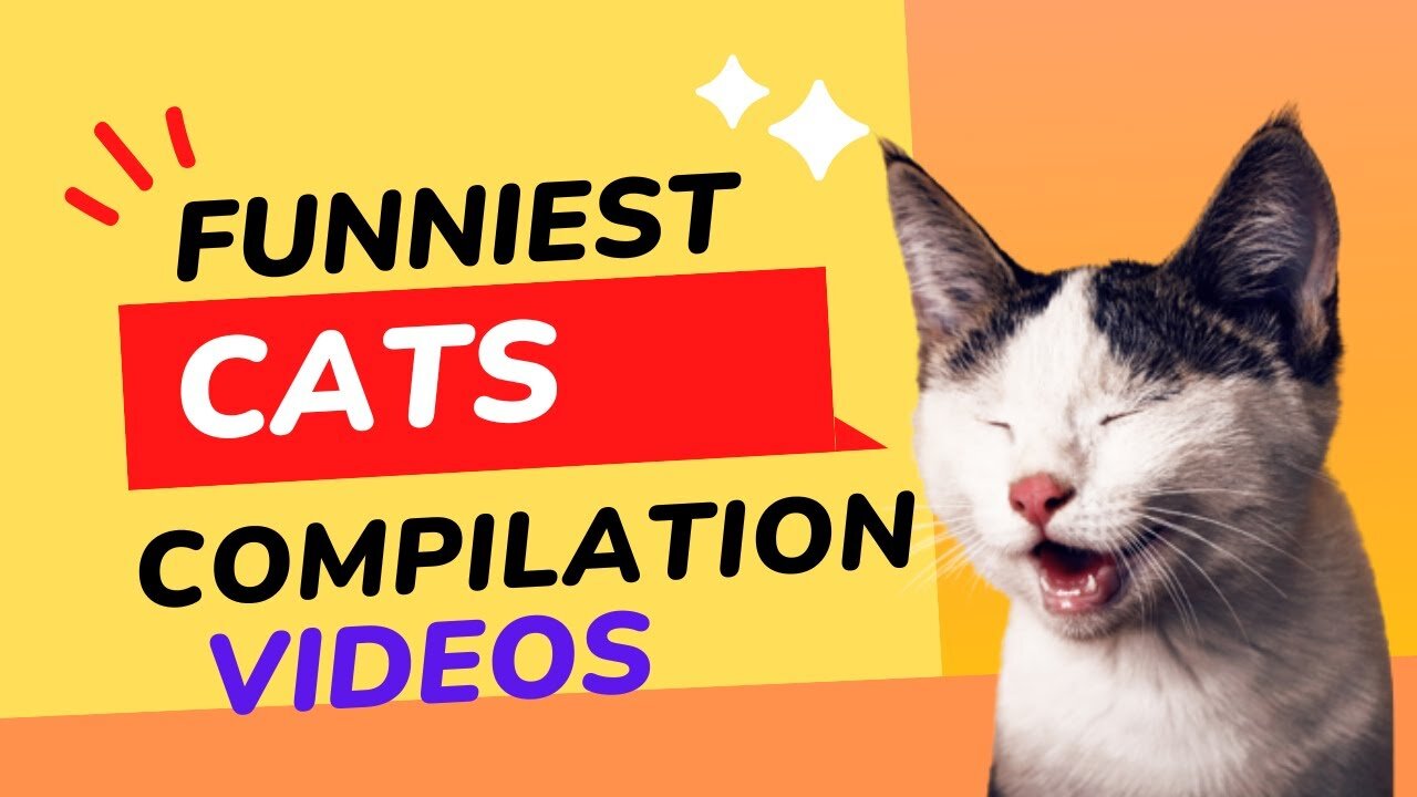 FUNNY CATS and DOGS 🐱🐶 CRAZY, AMAZING, SMART ANIMALS 🐾 New Funniest Videos 😂