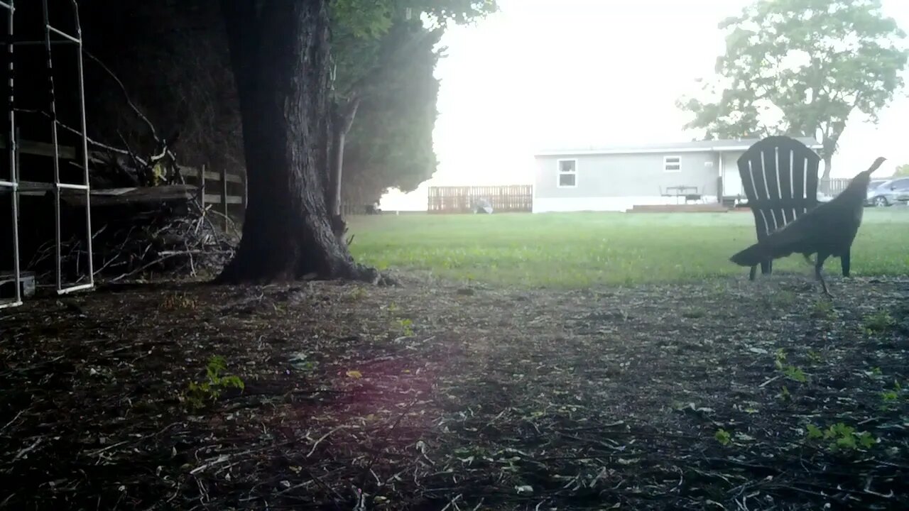 Turkey coming in hot