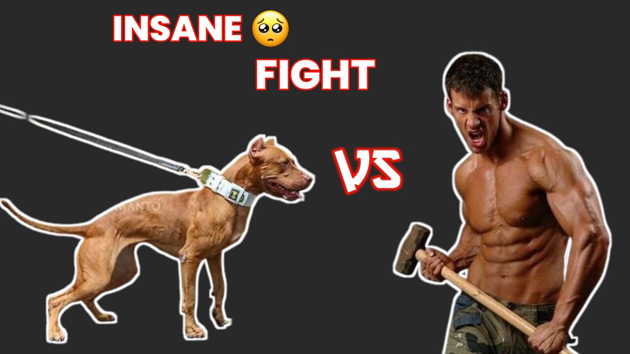 You won't believe what happened when this man fought a pitbull! Click here to find out!