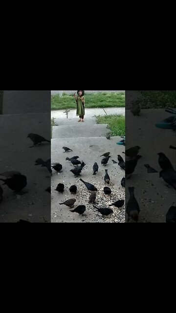 Bruno Visits 😎 #Shorts