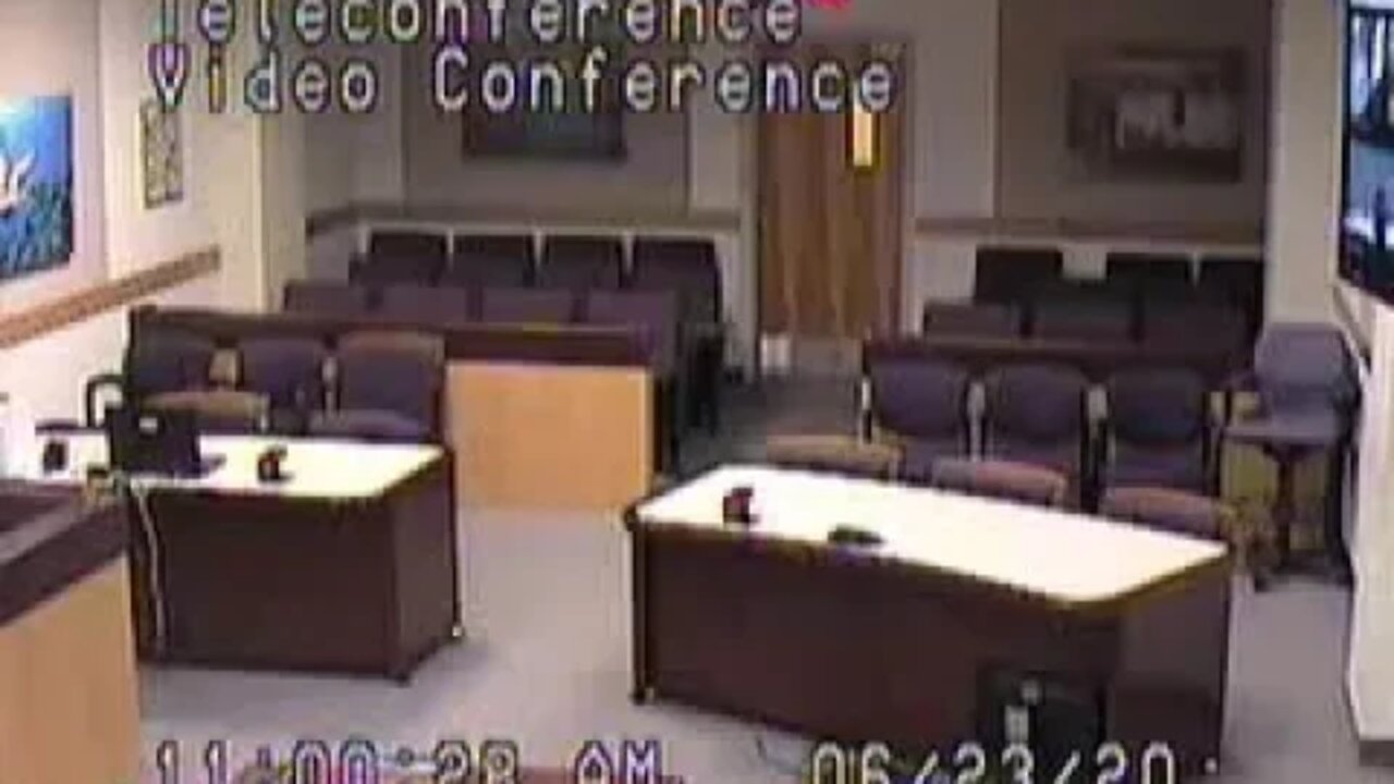 Avila matter before Clark County Family Court Sr. Judge Gerald Hardcastle 6/23/20 3-3