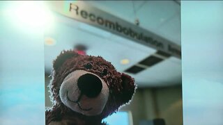 Viral social media post reunites missing teddy bear with owner at Milwaukee airport