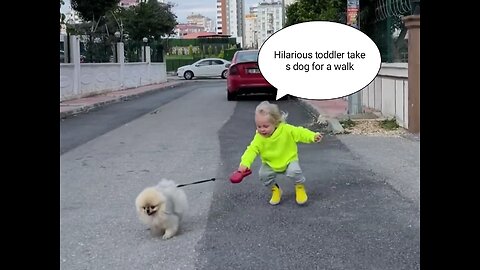 Hilarious toddler takes dog for a walk