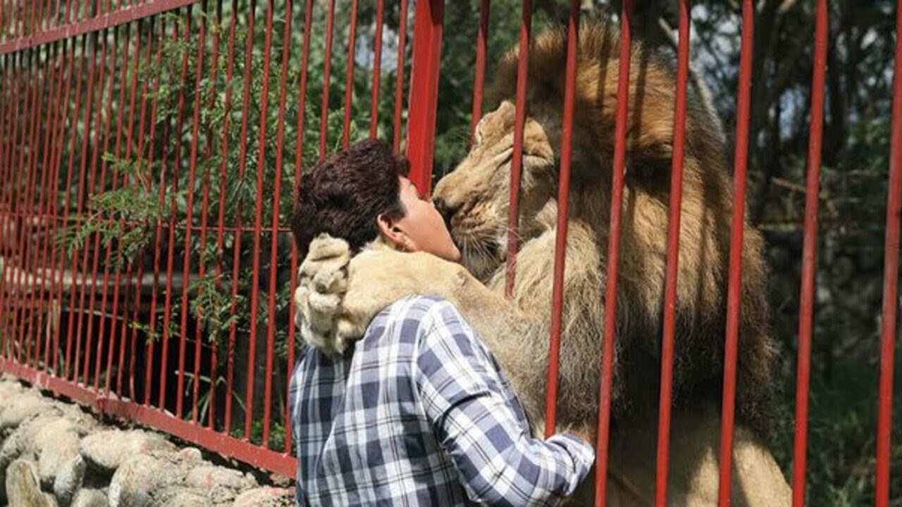 Animals Reunited with Owners After Years!