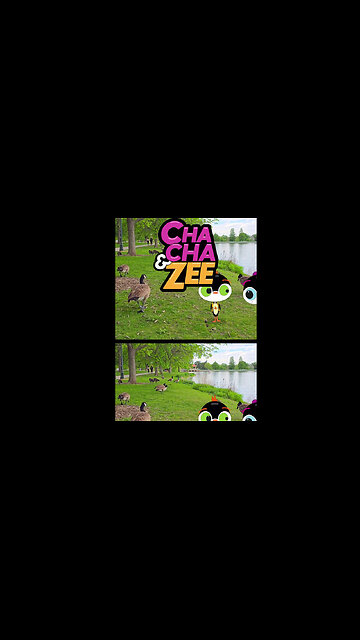 Why are Canadian Geese in Colorado || Historic Denver Uncovered || Denver Historic Landmark