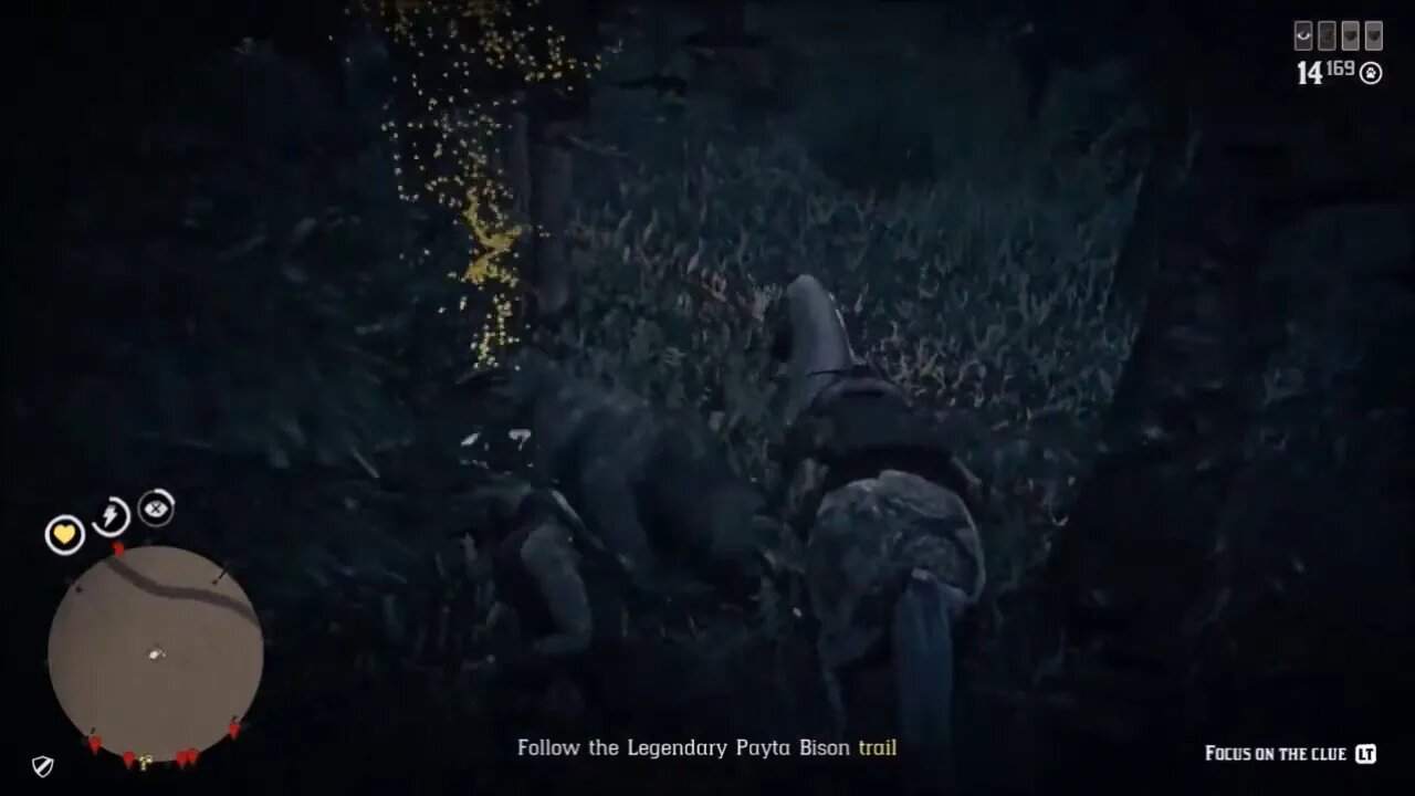 Hunting The Legendary Peyta Bison Red Dead Online