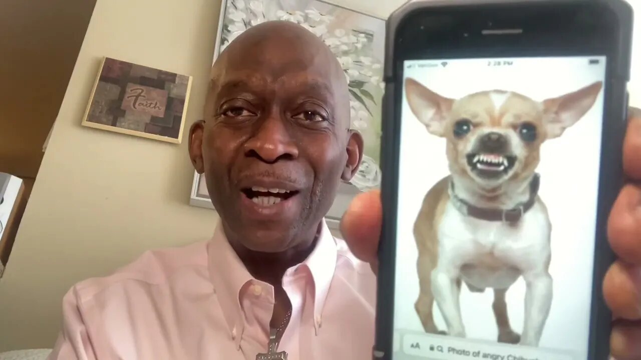 INFORMATION “DISGUISED”