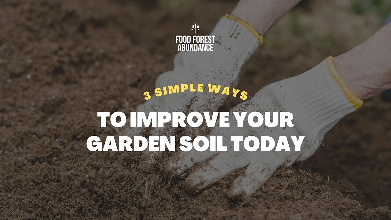 3 simple ways to improve your garden soil today